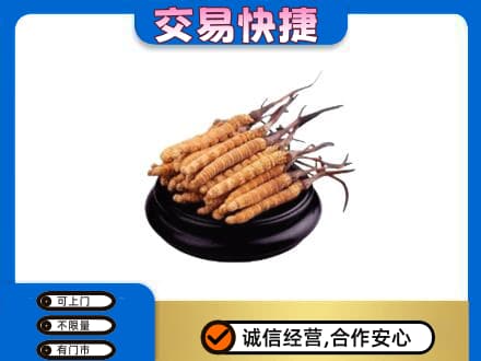 麻城市高价回收冬虫夏草多少钱每克